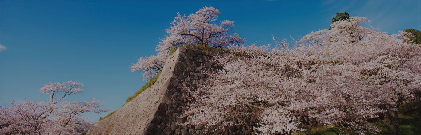 春セクションの導入背景